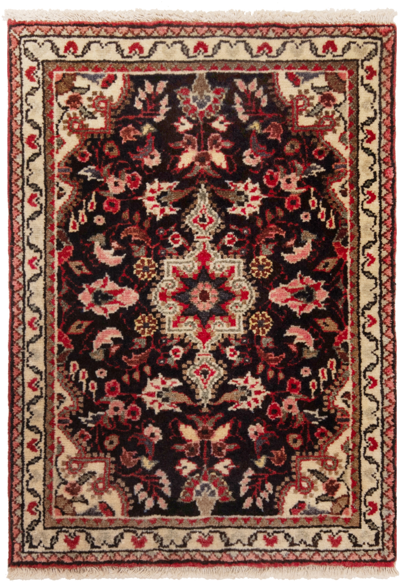 Hamedan Persian Rug