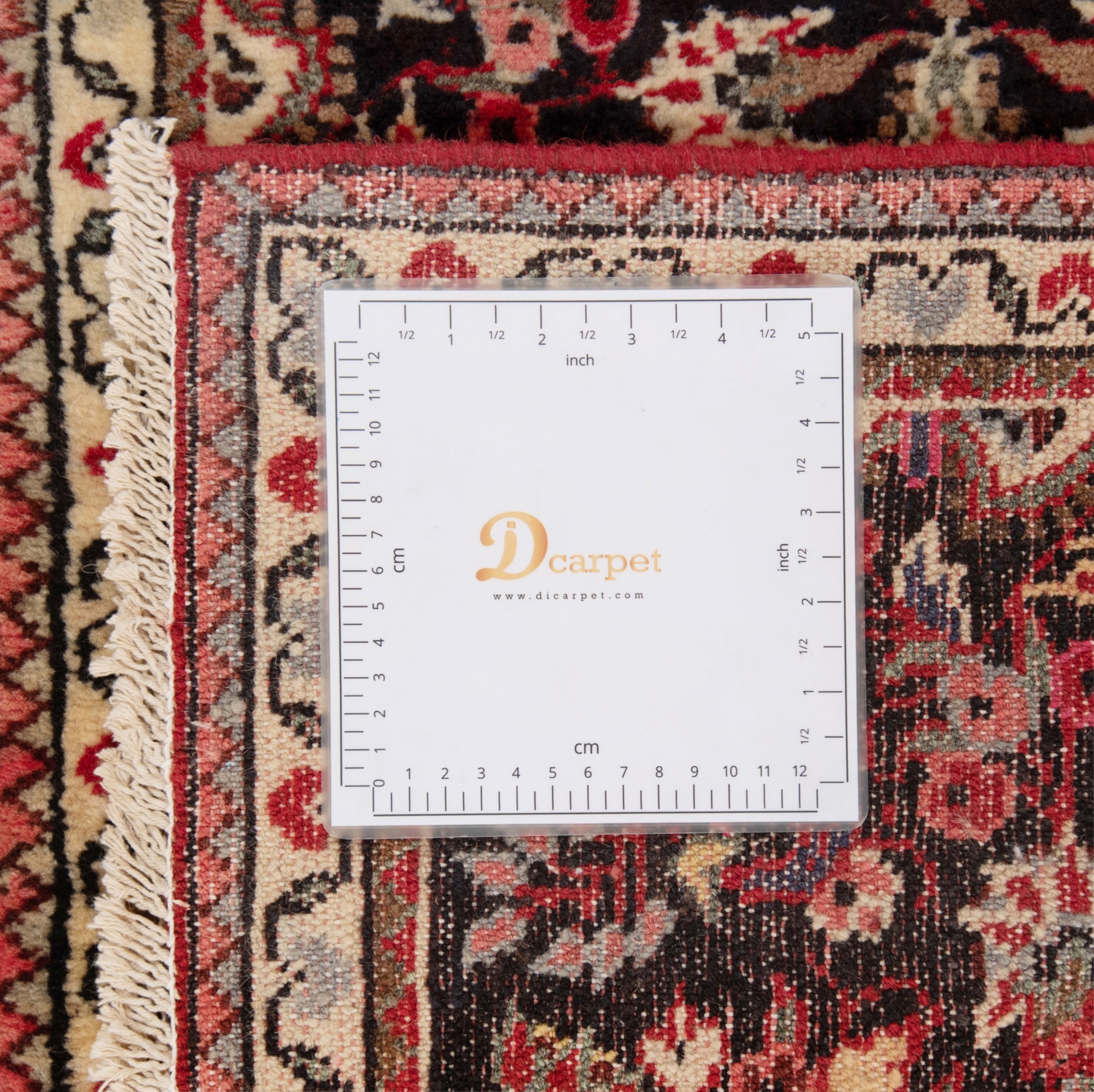 Hamedan Persian Rug