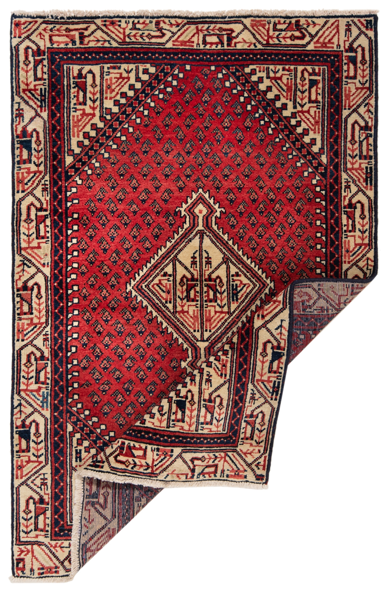 Hamedan Persian Rug